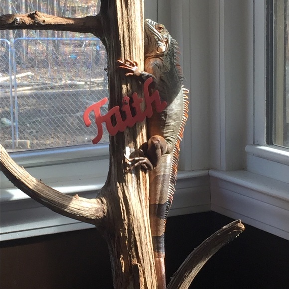 Meet your Posher, Jaime ❗️Top Rated Seller ❗️ - Picture 8 of 8